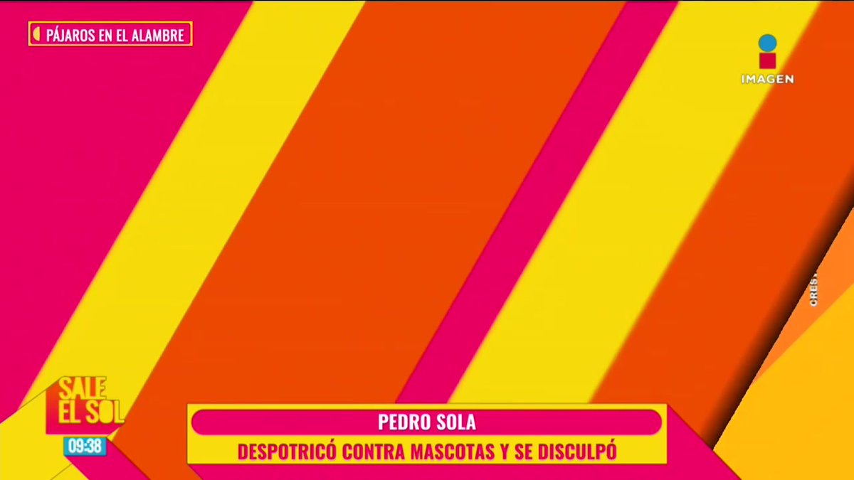 ¡Pedro Sola se DISCULPA por polémica opinión sobre las MASCOTAS tras ser FUNADO en internet! ¿Qué opinas lo que dijo? #SaleElSol🌞: #SaleElSolTV