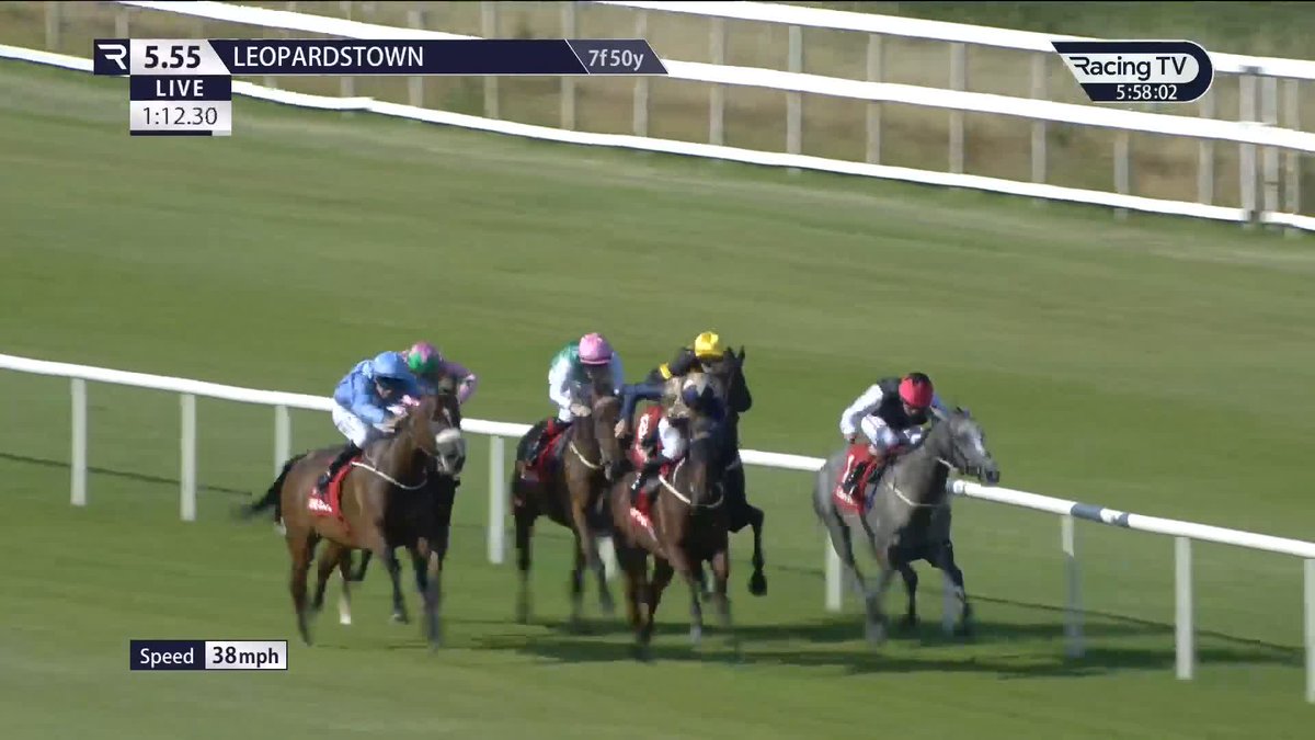 Group Three honours! 🤩 Duckadilly lands the Xin Gin Irish Stallion Farms Brownstown Stakes for Daniel McLoughlin and scott mccullagh 👏 Leopardstown RC