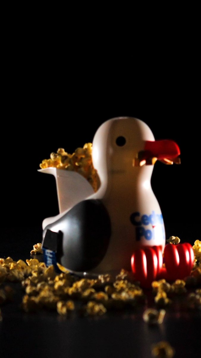 🍿🐦 SEAGULL POPCORN BUCKET 🐦🍿 Yes, you read that correctly. Get yours in park today while supplies last. Sold at various locations throughout the park.