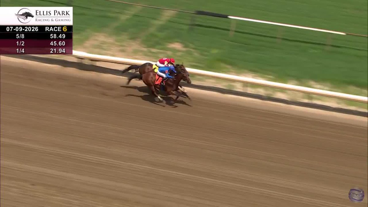 👀The younger brother to BELLA BALLERINA & PRETTY MISCHIEVOUS, 𝗧𝗔𝗟𝗟𝗘𝗬𝗥𝗔𝗡𝗗 wins on debut Ellis Park Racing & Gaming! ⭐ Ben Curtis was aboard for trainer brendan walsh and owner/breeder Godolphin. #TwinSpiresReplay