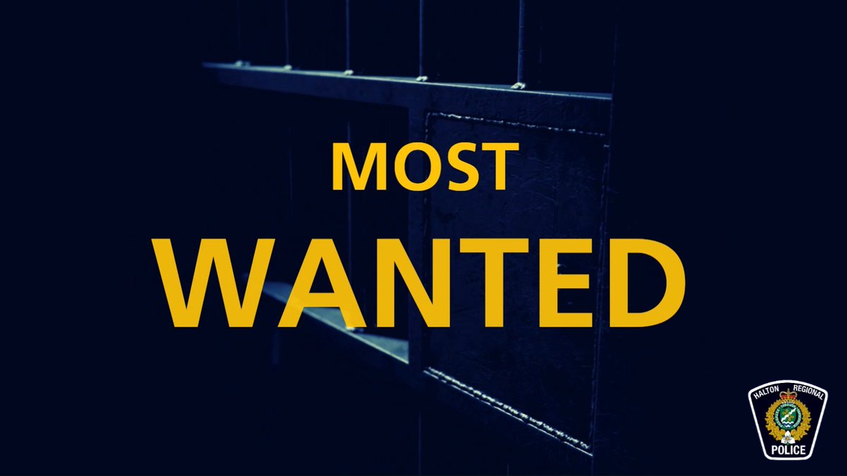 🚨 HALTON'S MOST WANTED James Piotto, 45, is wanted for 3 counts of Fail to Comply with Probation Order and one count of Unauthorized possession of a Weapon. If seen, do not approach. Call the Halton Regional Police Service on (905) 825-4747 ext. 8775 or Crime Stoppers on 1-800-222-8477 (TIPS). For more info:
