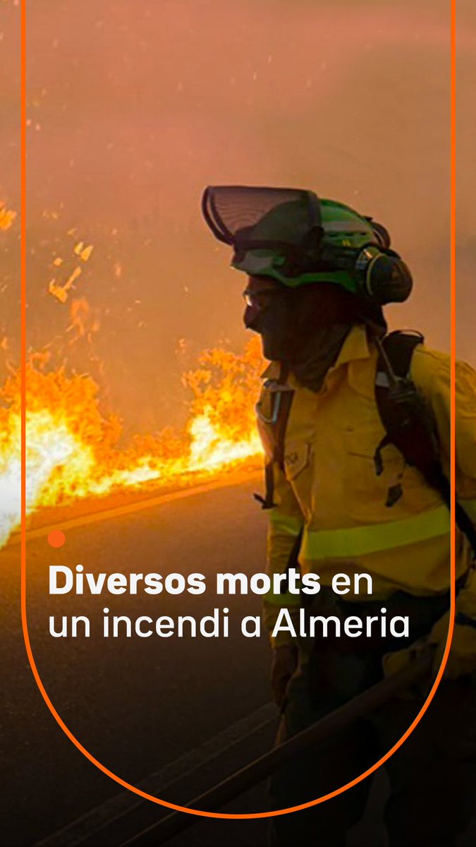 "Una tragèdia sense precedents." Almenys 11 persones mortes, 19 de desaparegudes i 8 de ferides en un incendi forestal a Los Gallardos, a Almeria. Quatre de les víctimes mortals eren en un cotxe britànic i set anaven a peu després de deixar els vehicles