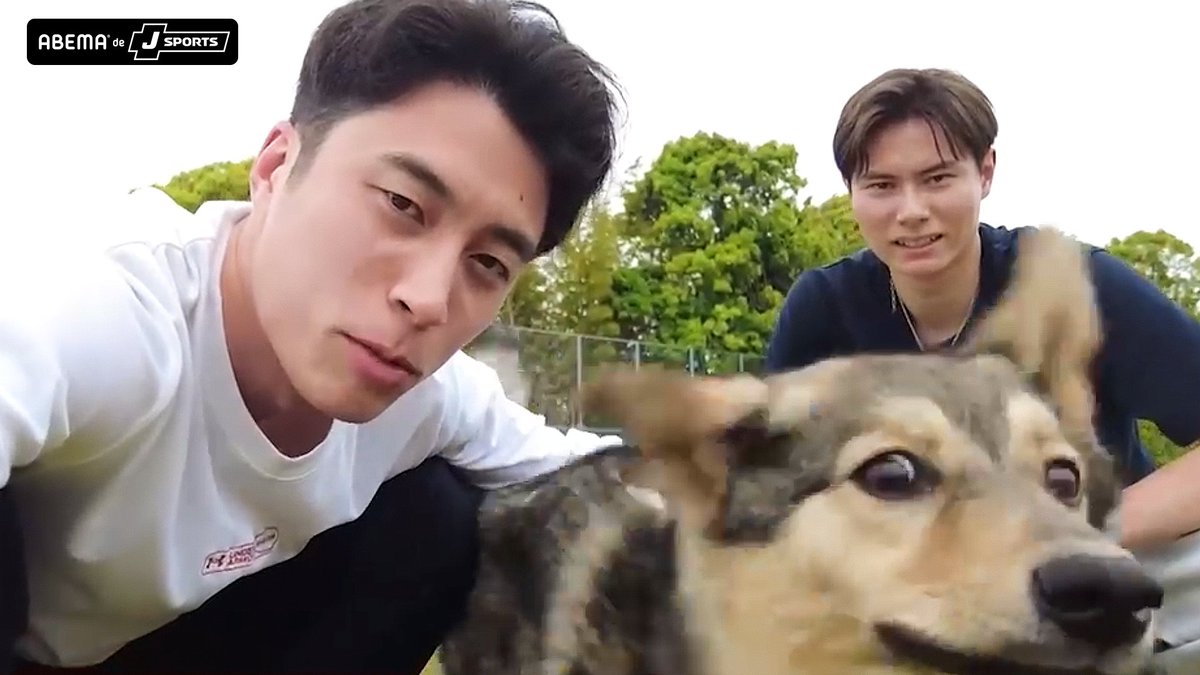 🏐髙橋藍を支える2人の存在。 愛犬・ヨグと、兄・塁。🐶 癒やしの時間と、 バレーボールを始めた原点を語る。 続きは、 👉ABEMA de J SPORTS #髙橋藍 髙橋藍(Ran Takahashi) #髙橋塁 髙橋 塁(Takahashi Rui)
