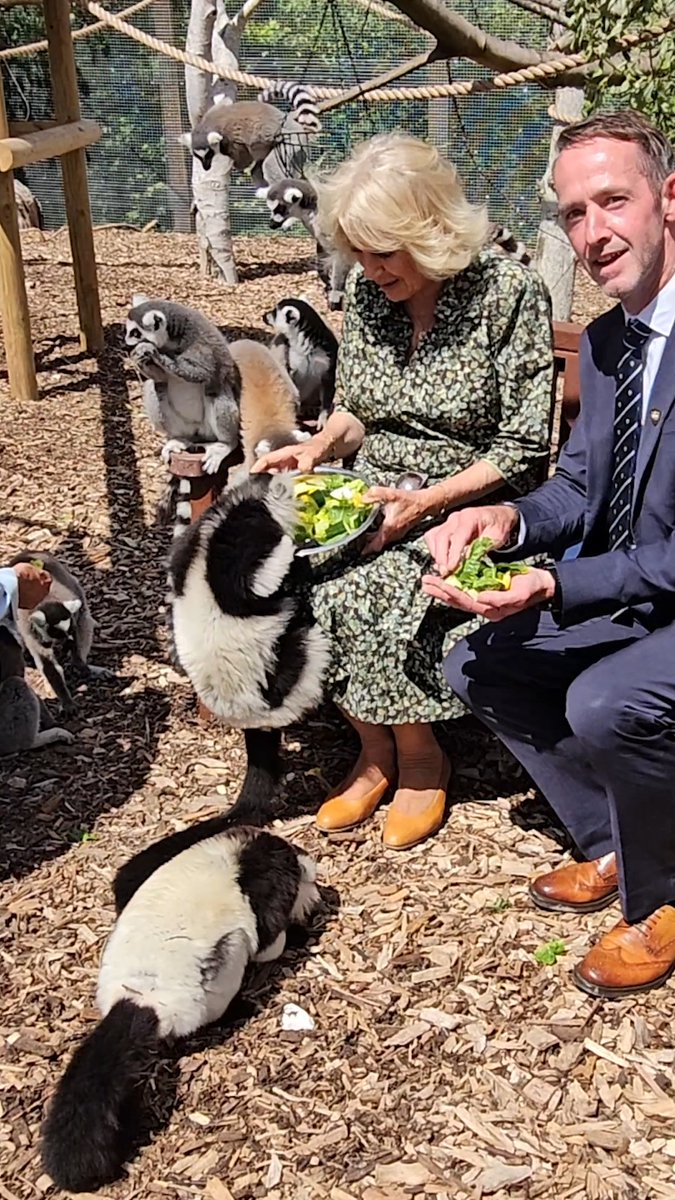 Meeting new friends and celebrating 100 years of Plumpton College. 🥰 Earlier this week, The Queen met students and staff, toured Plumpton College’s specialist facilities, including its new lemur enclosure, and unveiled a commemorative plaque to mark a century of land and environment education at the South Downs campus. Her Majesty also heard about the College’s continued contribution to the food, farming and wine sectors.