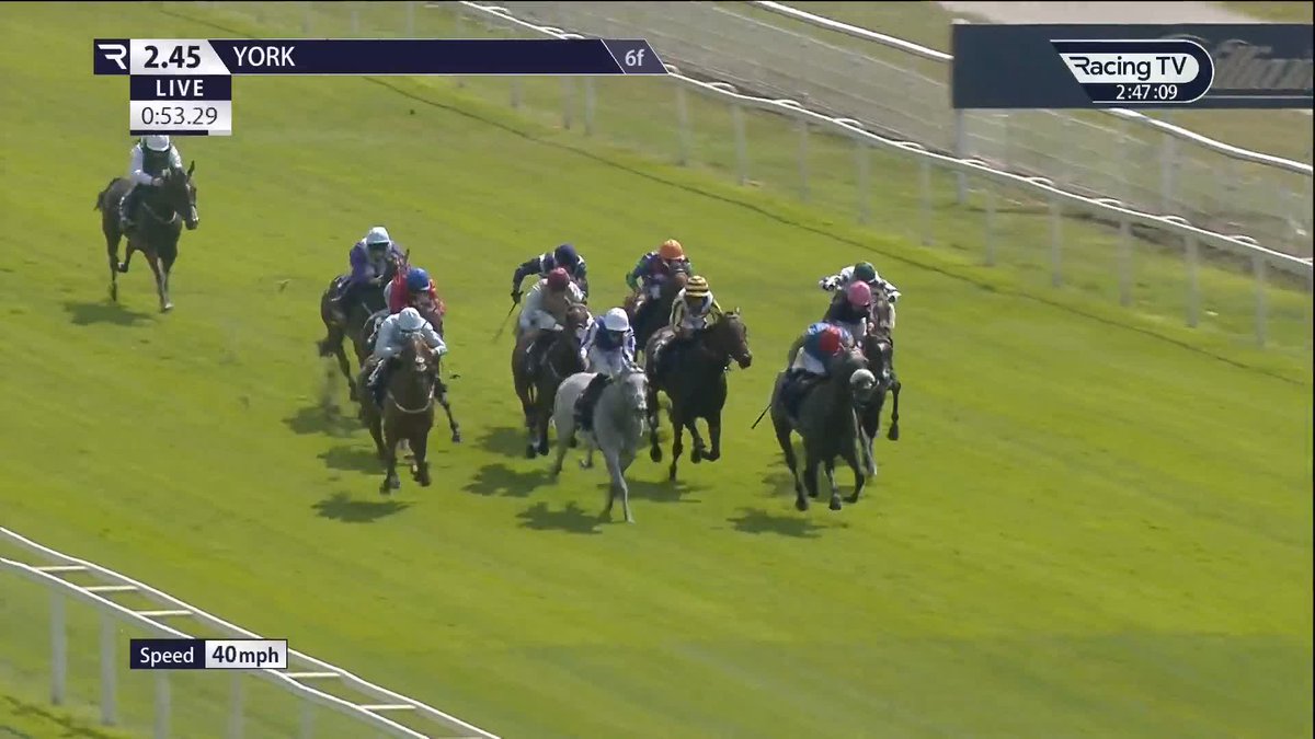 𝐅𝐥𝐨𝐫𝐚 𝐎𝐟 𝐁𝐞𝐫𝐦𝐮𝐝𝐚 blossoms again in the William Hill Summer Stakes at York 🇧🇲 Andrew Balding's sprinter was winning this Group Three for a second time within the last three years 🥇🥇