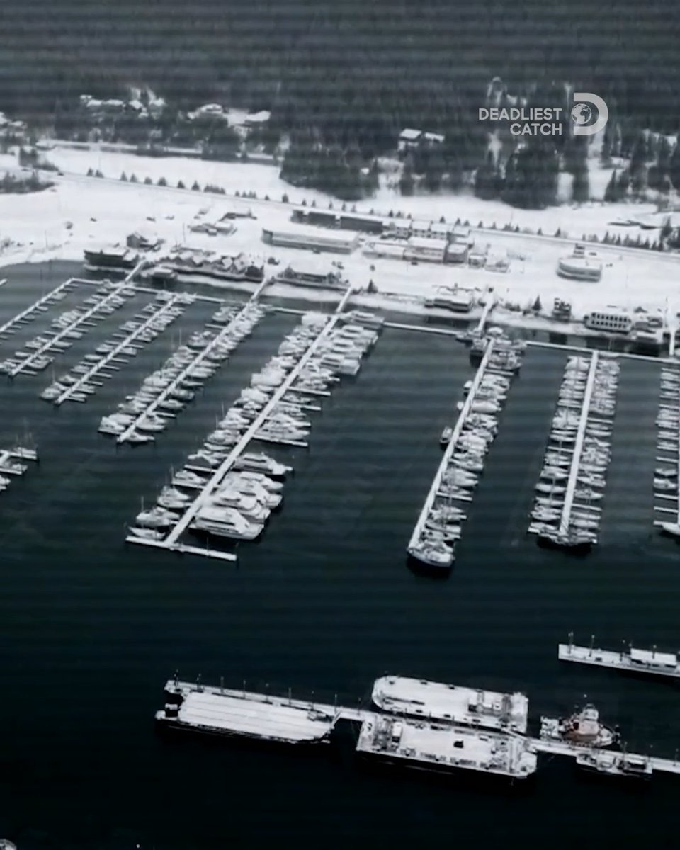 ❄️ 🦀 ⛴️ Bracing for a historically cold winter, the Captains prepare their boats and crews for a shot at a newly minted $68M haul. All crews must also head North, fishing near the Russian border, where opilio and bairdi live in great abundance during the winter months. #DeadliestCatch is all new tonight 8P on Discovery.