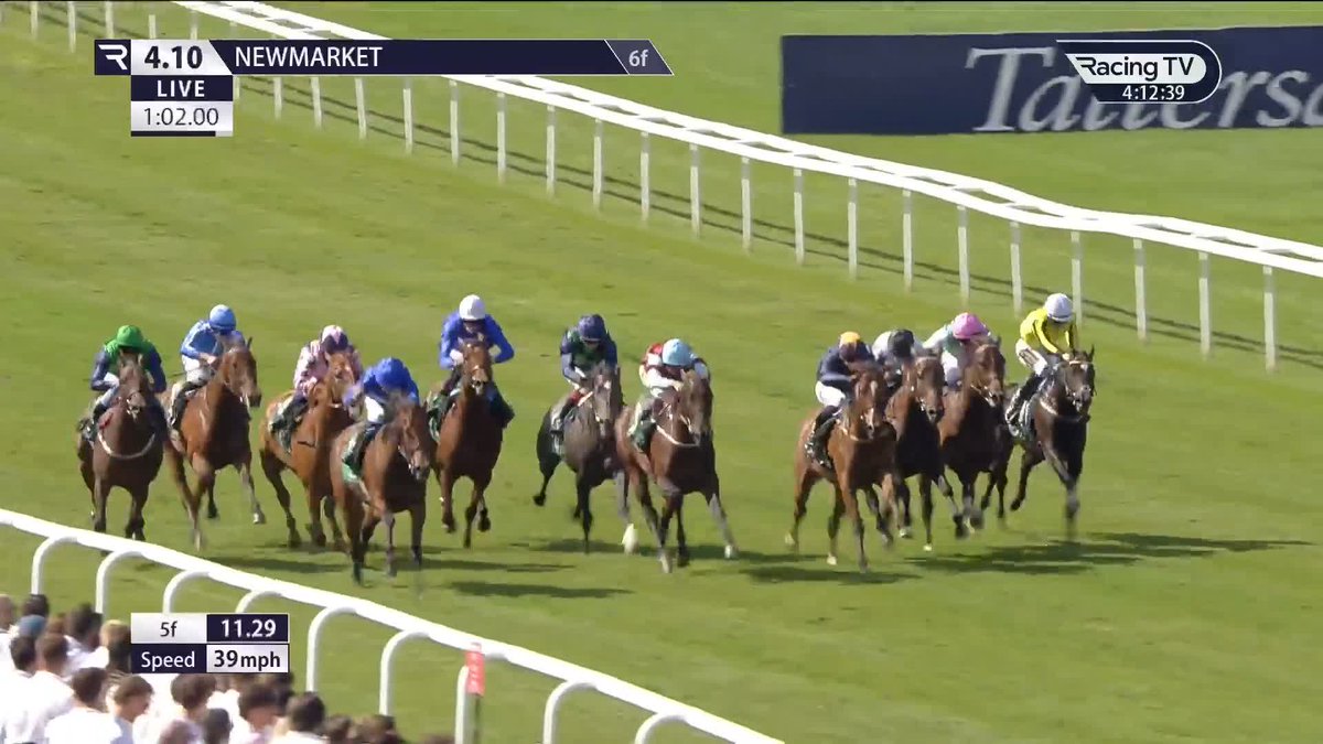Third on debut over C&D last month, Acting Lady (Dark Angel) steals the show in the Weatherbys Limited x British EBF fillies' maiden Newmarket Racecourses ๐ต Godolphin | William Buick