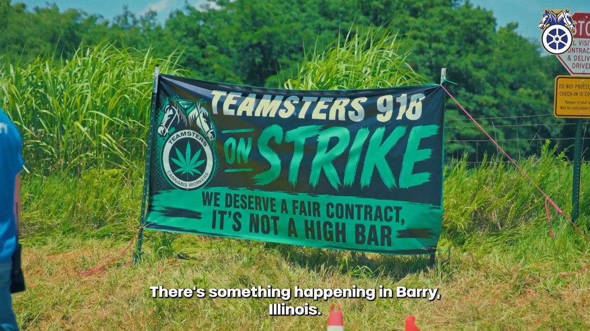 Hundreds of Teamsters in Barry, Ill., are currently waging the largest cannabis strike in U.S. history as they fight for a first contract at Ascend Wellness’s plant. Cannabis Teamsters are sparking a movement in the industry across the country — fighting back to win the high wages and strong benefits they deserve.