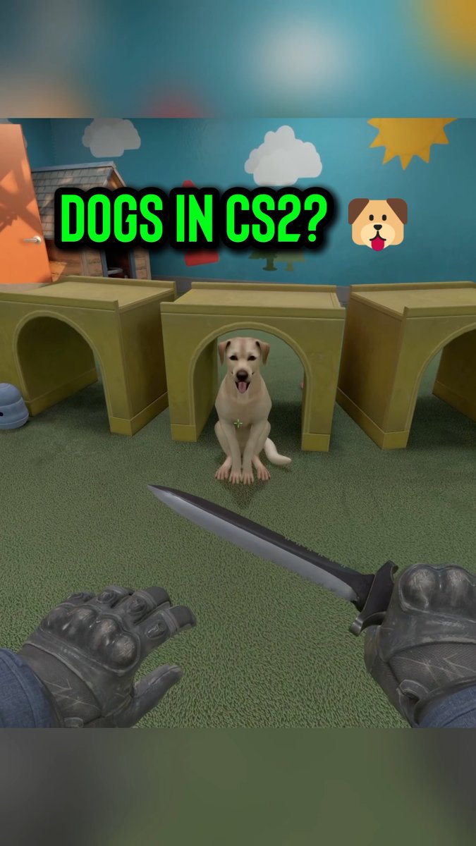 Okay, BEST update ever. 🥹🐕