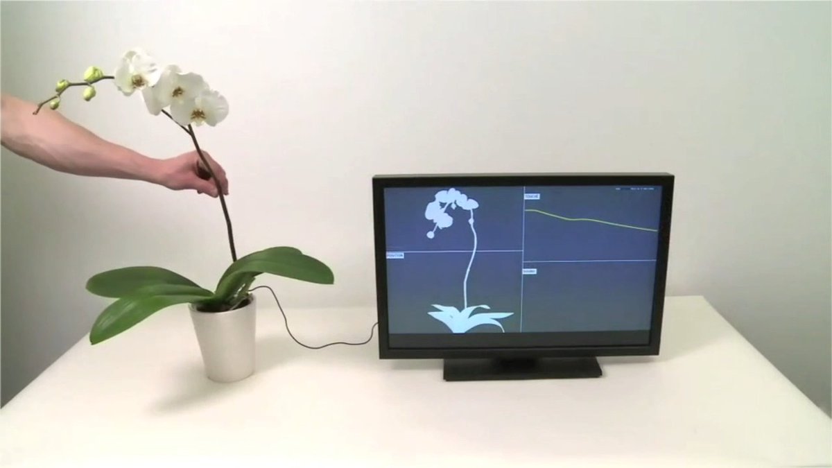 Years ago at Disney Imagineering I built a novel sensor to make almost anything interactive. As a test you can put a single wire in the soil, and touching a leaf could play a note. I called this project Botanicus Interacticus. The physical world is full of signals and hidden behaviors, and we've never learned to read and understand them. That's why we built Archetype AI. Newton, our foundation model, finally lets us listen.