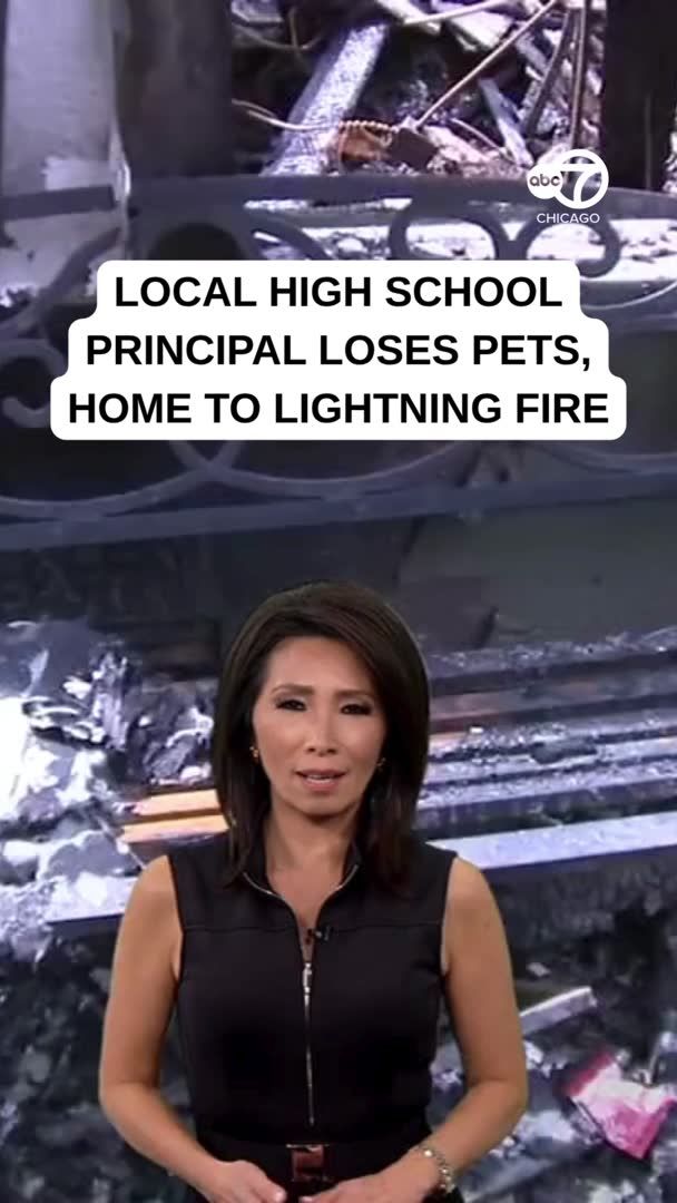 A Chicago-area family returned from vacation to find their pets dead and their home destroyed, along with nearly all of their belongings, after a lightning strike sparked a fire overnight on July 3.