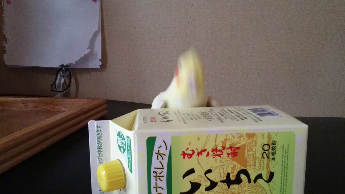 おかめって……誇張とかディフォルメ無しに、本当にこういう奴だからなぁ…😅