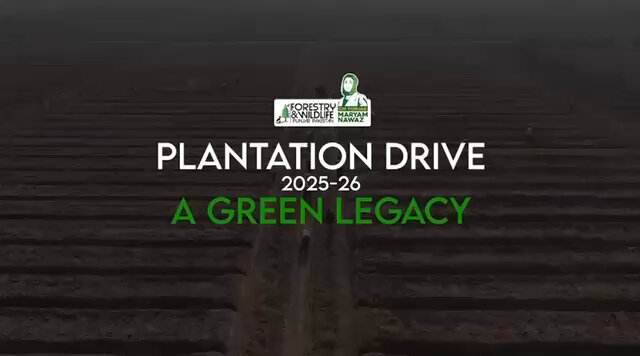 Alhamdulillah, Punjab’s Plantation Drive 2025-26 has taken our Green Revolution to a scale never witnessed in our province’s history. 🌳 40 million saplings planted 🌱 41,342 acres brought under plantation 🛣️ 3,085 avenue miles lined with trees From DG Khan to Bahawalpur, barren land is being transformed into thriving forests through the dedication and hard work of Team Punjab. This is just the beginning, Insha’Allah. By the grace of Allah, the Punjab of the next decade will be a province of forests, clean air, and living rivers for generations to come. #PlantationDrive2025 #GreenPunjab #SmogFreePunjab