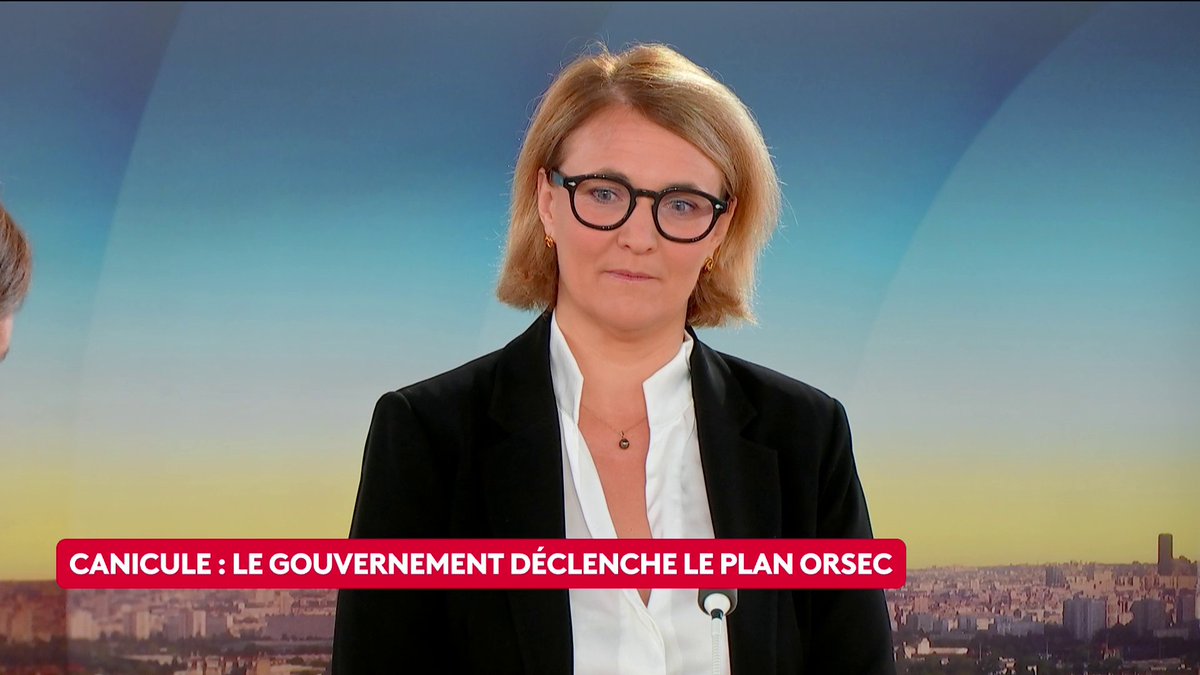 “Nous avons tiré les leçons des canicules précédentes. Ce plan [Orsec] est inédit parce que nous faisons face à une vague de chaleur qui s'étend dans la durée, qui est intense“, déclare Marie-Pierre Vedrenne, ministre déléguée auprès du ministre de l’Intérieur. Marie-Pierre Vedrenne