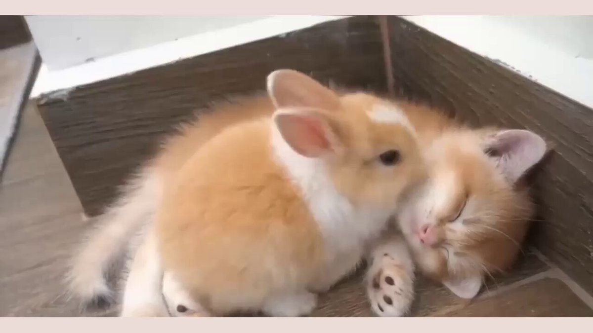 Unconditional love with friends