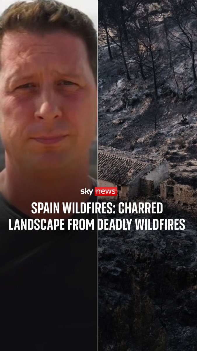 .Alistair Bunkall reports from Bedar, one of the worst affected areas in the Spanish wildfires, where most locals have evacuated as emergency services try and put out the remaining fires. Latest: