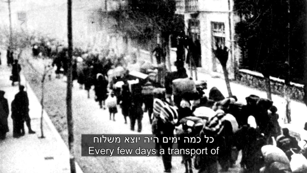 #OTD 11 July 1942, 9,000 Jewish boys and men aged 10-45 were ordered to assemble at Liberty Square in Thessaloniki, Greece, where they were humiliated all day in the blazing heat. The event became known as "Black Saturday". After negotiating with the German Army administration in Macedonia, the Jewish community managed to have the young men released, in exchange for a ransom. 54,000 of Thessaloniki's 56,000 Jews were murdered in the Holocaust. Zvi Michaeli was among the 9,000 Jews assembled in Liberty Square that day. This is his story: