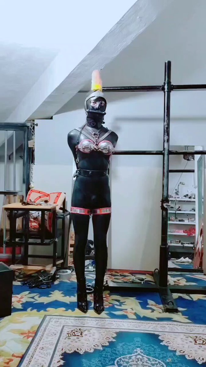 当马当狗都是阁主的小宠物