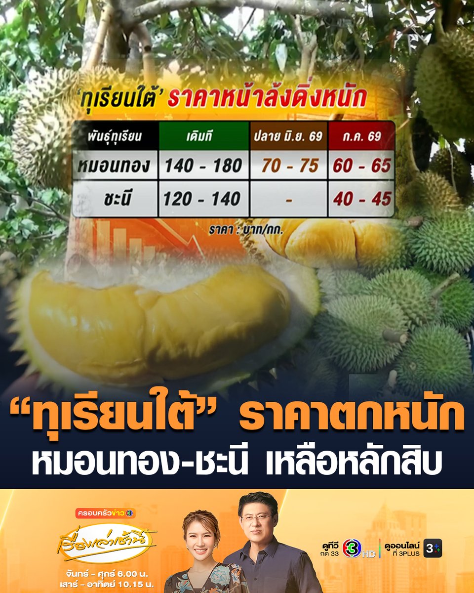 #เรื่องเล่าเช้านี้ 'ทุเรียนใต้' ราคาตก 'หมอนทอง' กก.ละ 60-65 บาท 'ชะนี' กก.ละ 40-45 บาท ชาวสวนทุเรียนระทม หวั่นขาดทุนหนัก เผยสาเหตุ เรียกร้องรัฐเร่งหาทางระบายผลผลิต #ครอบครัวข่าว3 #ข่าวภูมิภาค