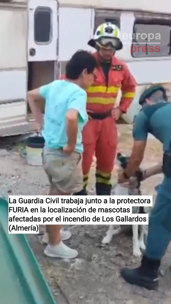 🐶 La Guardia Civil trabaja junto a la protectora FURIA en la localización de mascotas afectadas por el incendio de Los Gallardos (Almería) #Directo