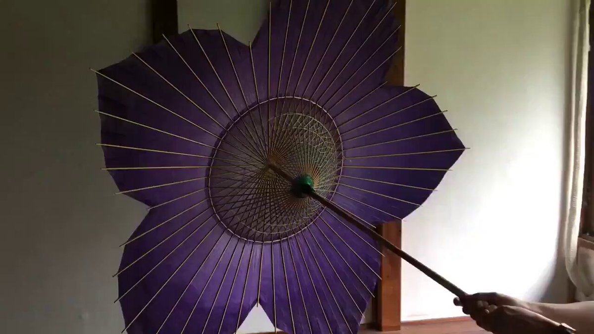 japanese umbrella, wagasa