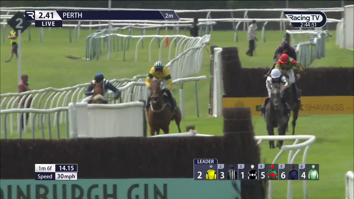 Conquer The Breeze 🌬️ A horse at the very top of his game! Adam Nicol Racing