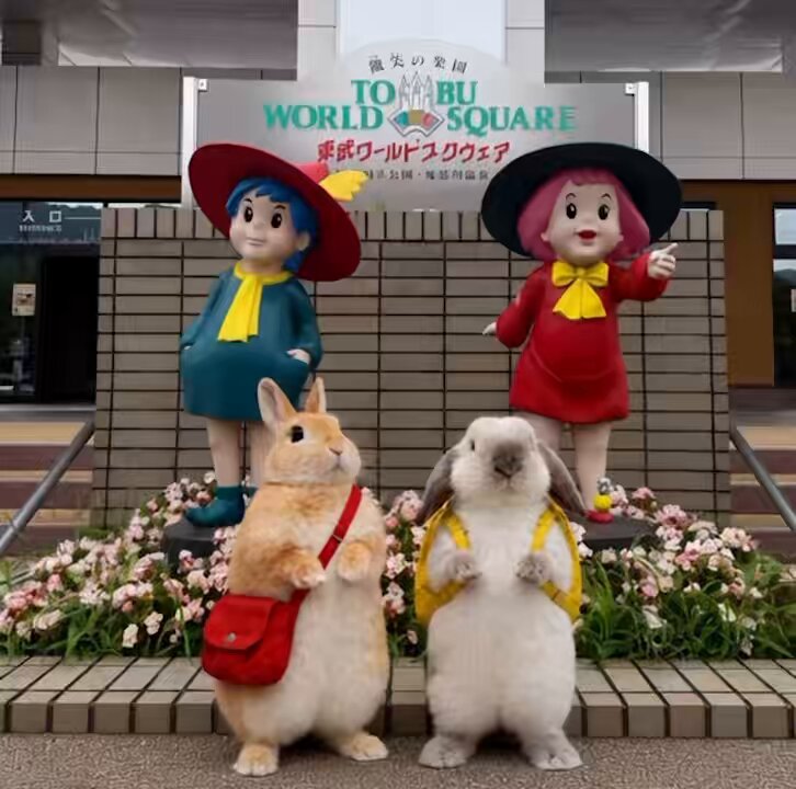 東武ワールドスクウェアに行ってきました🐰🐶 #天国通信