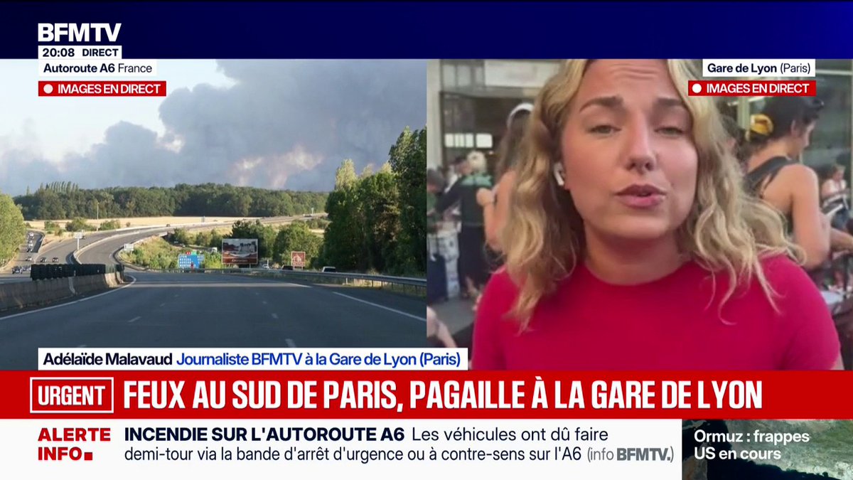 La circulation des trains fortement perturbée en Gare de Lyon en raison des incendies au sud de Paris