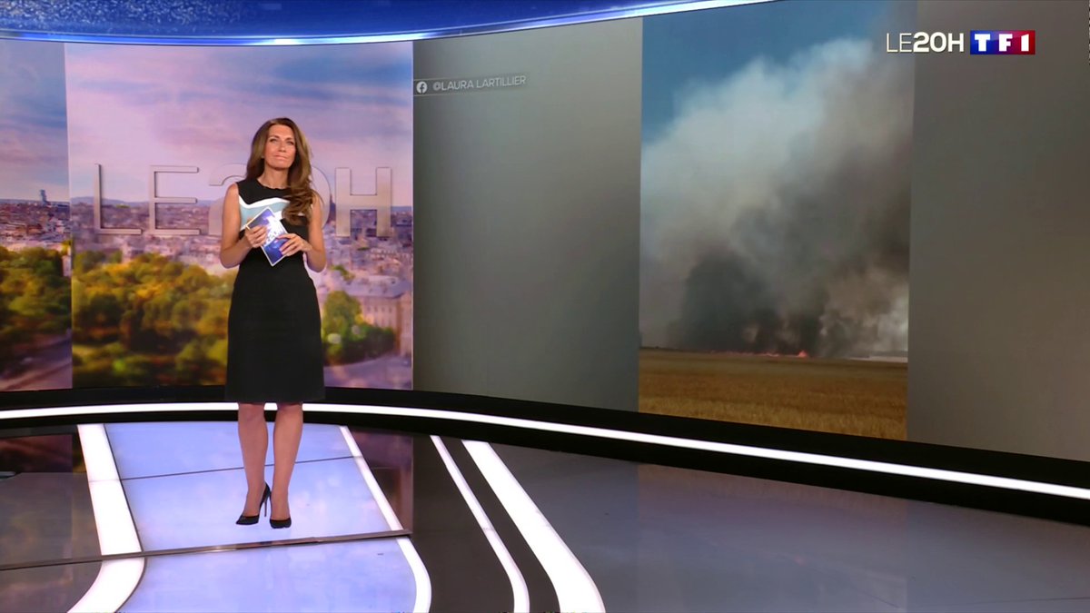 🔴 Incendie très virulent à proximité de la forêt de Fontainebleau 📺 #LE20H de TF1 avec Anne-Claire Coudray