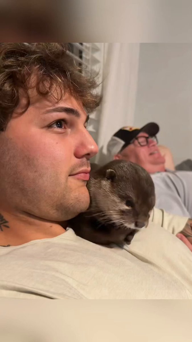 Otters are so adorable. 🥰 Hans Gruber Otter Braun