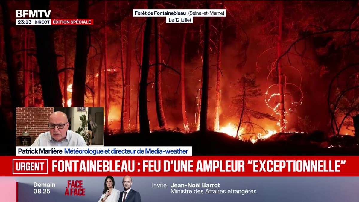"Des orages attendus" dès ce lundi dans la région de Fontainebleau touché par des incendies d'une "ampleur exceptionnelle"
