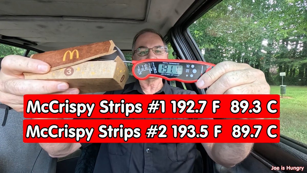 McCrispy Strips Full Review | Joe Is Hungry