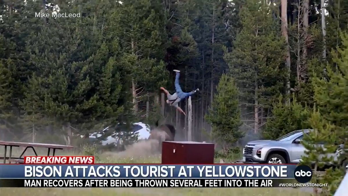 A grandfather out on a walk with his grandson was attacked by a charging bison and thrown at least eight feet into the air in Yellowstone National Park. The grandfather was reported to be hospitalized due to serious injuries. Melissa Adan has more.