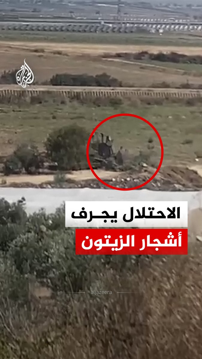 مشاهد ترصد جرافة إسرائيلية تقتلع أشجار الزيتون غرب جنين بالضفة الغربية #فيديو