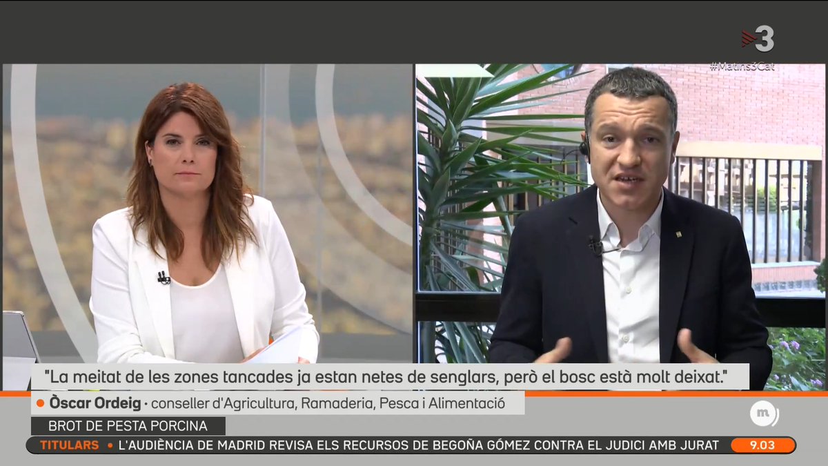 "No podem dir quan s'obrirà Collserola" perquè el bosc "està molt deixat". El conseller d'Agricultura, Òscar Ordeig, demana "no tirar per terra tota la feina feta" i recorda que els temps els marquen "tècnics i científics". #Matins3Cat