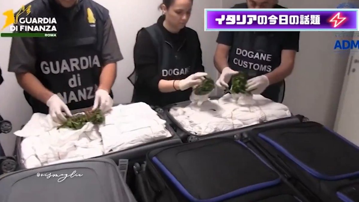 7月13日(月)、ローマ・フィウミチーノ空港でテルアビブ発旅客の手荷物からカト216kgを押収。 こんな大量麻薬をどうやって隠し通そうとしたのか、呆れて言葉も出ない。 現場の検査官は、臭いやX線画像のどの兆候で見抜くと決めたのか。