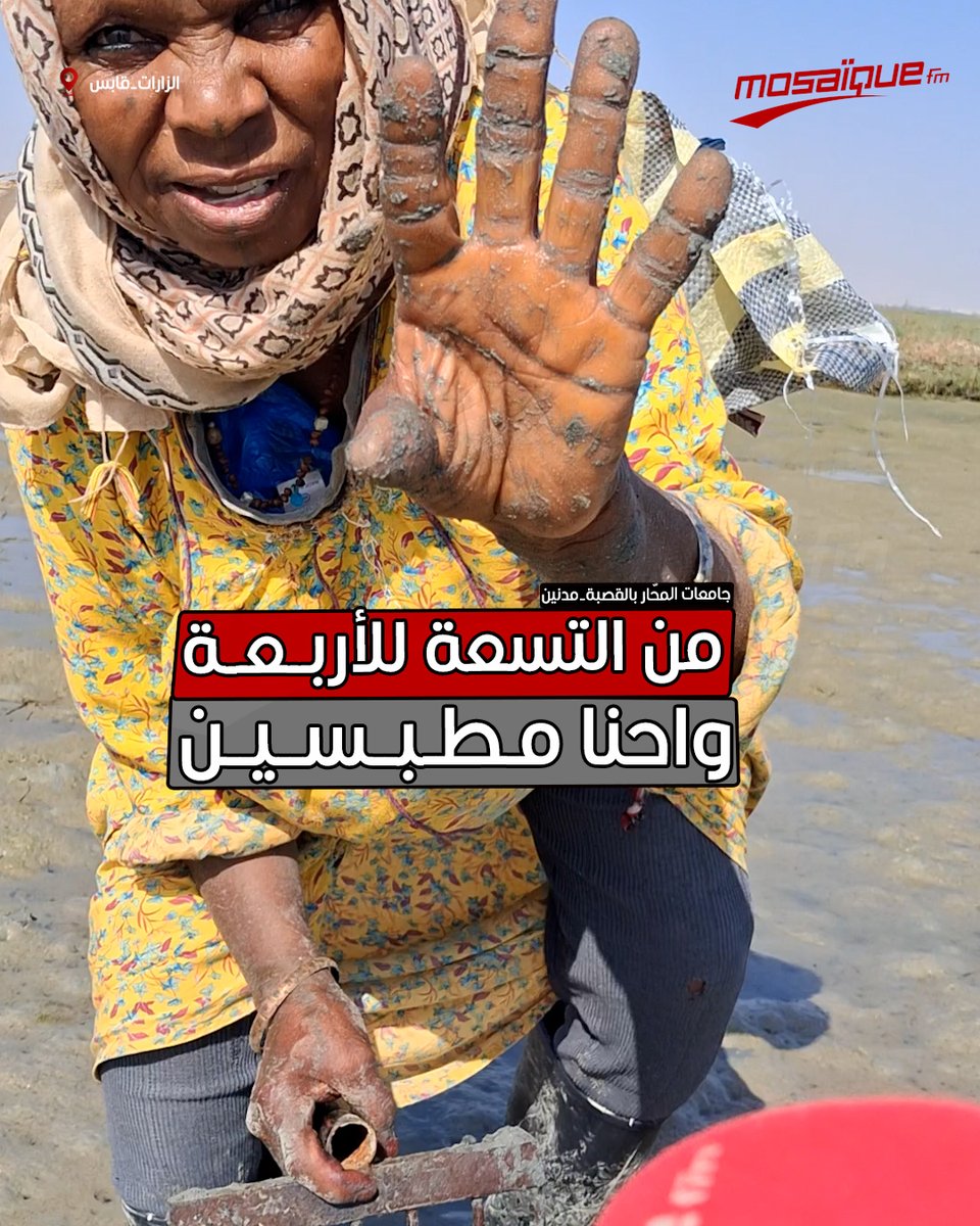 'من التسعة للأربعة وأحنا مطبسين'.. جامعات المحار بالڤصبة: نضال يومي تحت لهيب الشمس من أجل لقمة العيش #تونس #قابس #مدنين