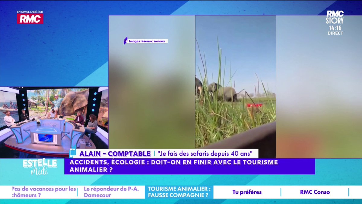 🦁 Faut-il en finir avec le tourisme animalier ? 📞 Alain : "Ça fait 35 safaris que je fais ! J'en fais tous les ans ! Ce qui me plaît, c'est d'être dans la nature ! S'il n'y a pas de safaris, il n'y a plus de réserves ! On paie un droit d'entrée ! 2 semaines au Kenya : 4 500€ !"