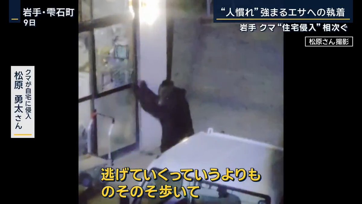 【同じ家に“週5回”出没も…クマの住宅侵入相次ぐ 岩手】 | クマが自宅に侵入した山本光雄さん 「ここ一週間連日、計5回も家の中に侵入されていて、家の窓ガラスを割られて中に入られて、台所や、父親の寝室まで入ってきているので、非常に恐怖感が増してきた」 山本さんは高齢の両親と暮らしているため避難ができず、県や市が自宅の周りに“電気柵”を設置 最初にクマがやってきた際は、漬物やキャットフードが食べられる被害 別の日には、クッキーや黒かりんとうも食べられる ▼人間の威嚇にも臆することなく… 山本さんの自宅から約1km離れた場所でもクマが目撃され、ここでも住宅の玄関に手をかけ、侵入を試みる様子が撮影された クマが自宅に侵入した松原勇太さん 「最初は粉ミルクの方の匂いとかで入っていって、甘い砂糖系とかそういうのを探していたんだと思う」 「3回目で鍵かけられたから、開かなくて、向こうも興奮してるっていうか、それでちょっと鼻息が荒かったのかな」 「(クマは)とりあえずきょうは帰ろうかって感じで。逃げていくっていうよりも、のそのそ歩いて仕方なしに帰っていくって形」 この周辺では約1週間前から、クマが同じ家などに繰り返し入り、少なくとも『10回』食べ物を物色している 岩手大学農学部 山内貴義准教授 「家の中に入るクマが同じ時期・地区に何頭も来るというのは考えられない。恐らく同一個体ではないかと」 「母親と子グマが分かれ、いわゆる子グマが独り立ちする時期。そういう若い個体が人里に執着してしまう時期でもある」 「エサが目的で侵入したが、人間と思わぬ形で至近距離で遭遇する機会はあると思う、そこで人を死亡させてしまう、けがをさせてしまうのが一番心配。不幸中の幸い、紙一重かなと」