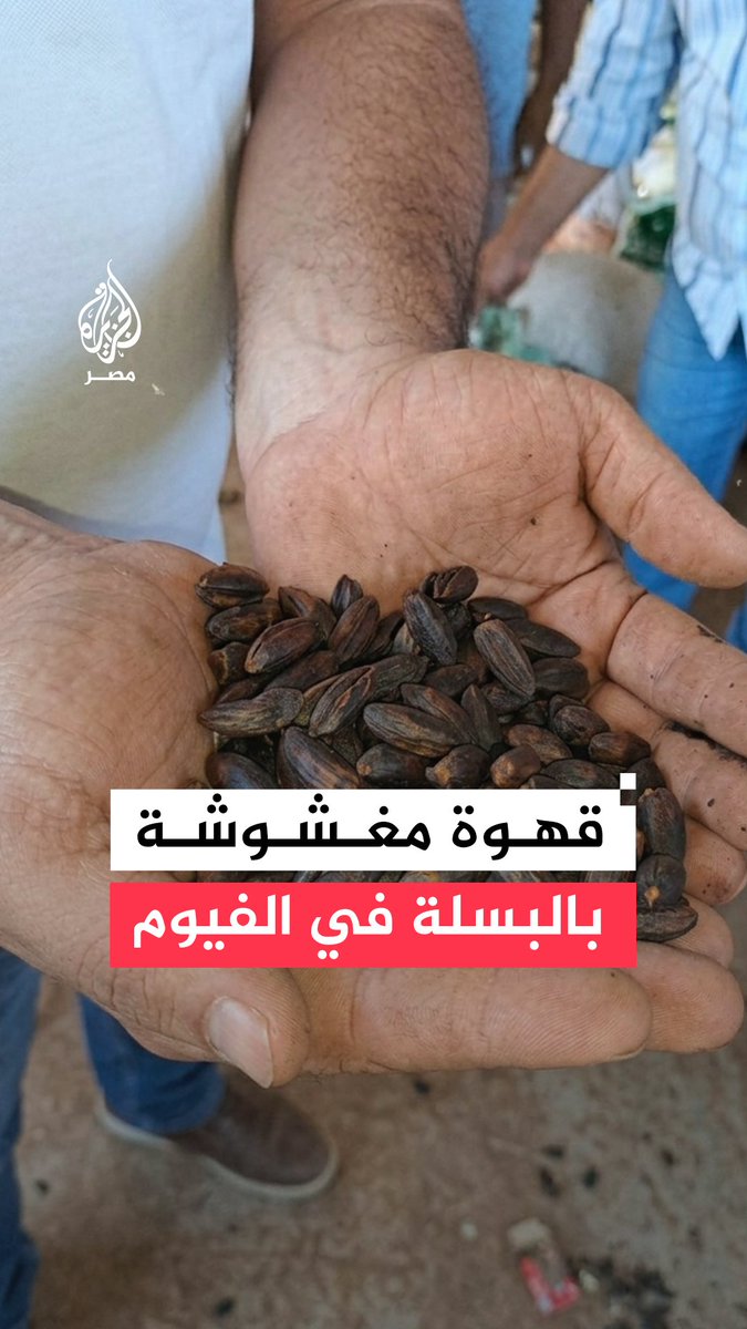 قهوة مغشوشة بالبسلة ونوى البلح.. حملة تموينية تضبط مصنعًا غير مرخص في الفيوم يُنتج بنًا مغشوشًا ويعبئه داخل عبوات.. ما التفاصيل؟