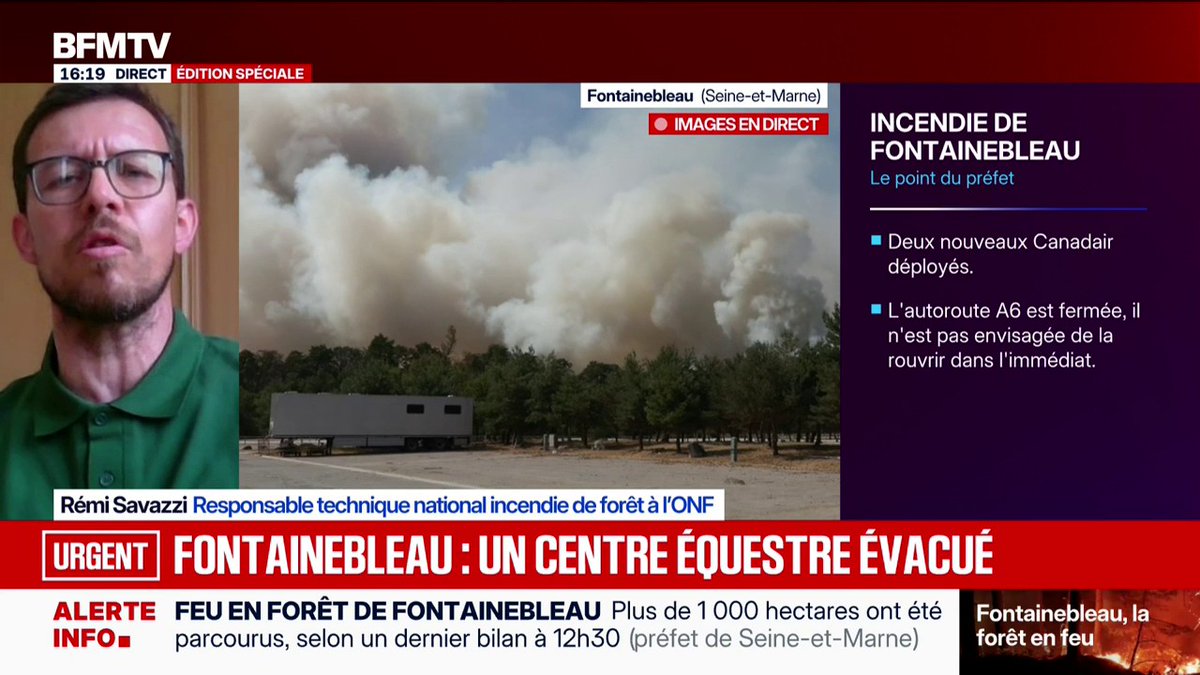 Fontainebleau: "Toutes les études sur le changement climatique nous montrent qu'on va avoir une augmentation du risque d'incendie", explique Rémi Savazzi, responsable technique national incendie de forêt à l'ONF