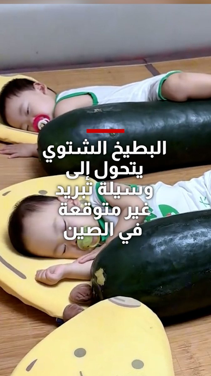 البطيخ الشتوي يتحول إلى وسيلة تبريد غير متوقعة في الصين