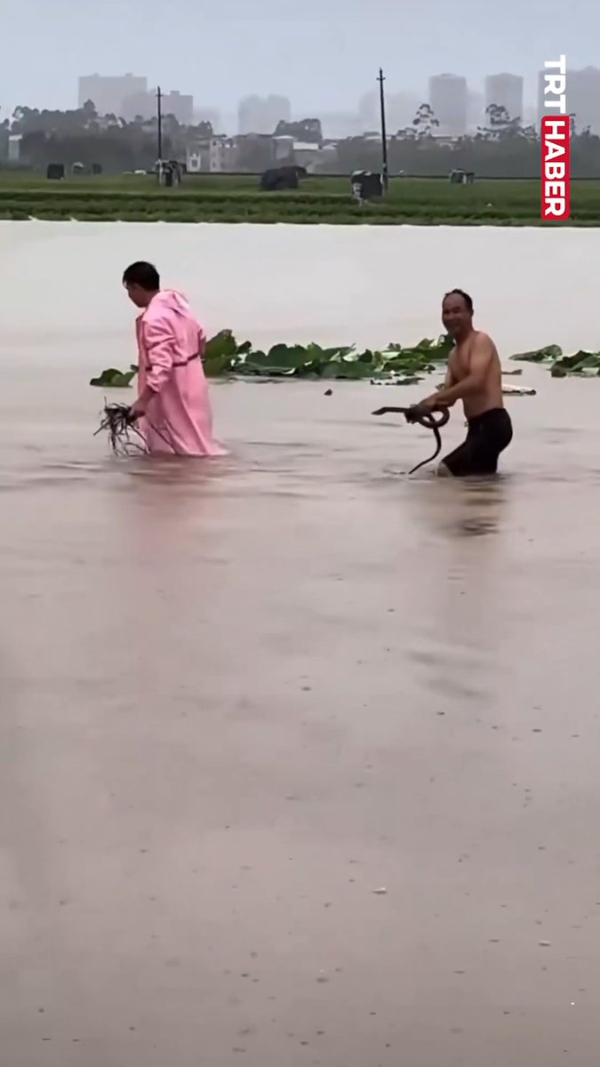 Barstool Sports Saw this video when one caught some snakes with his bare hands 😭😭😭