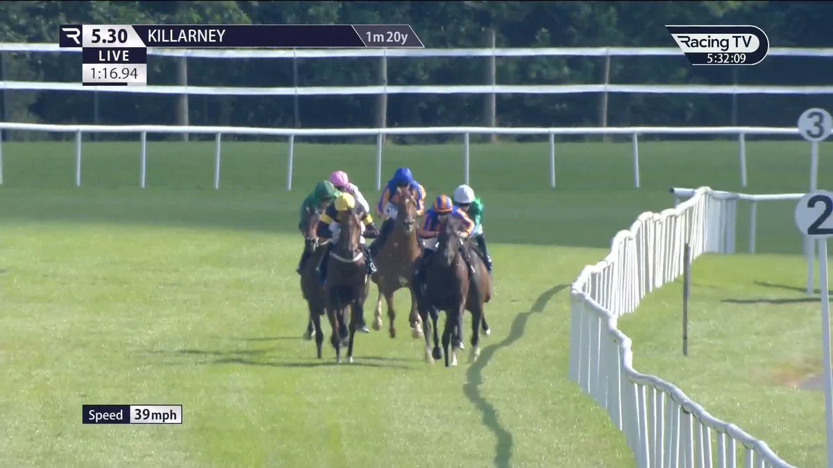 In a race won by future Derby winners Benvenuto Cellini and Anthony Van Dyck, €260,000 buy City Of Dubai (Mehmas) downs Oklahoma in the July Festival opener for Paddy Twomey Racing KillarneyRaces