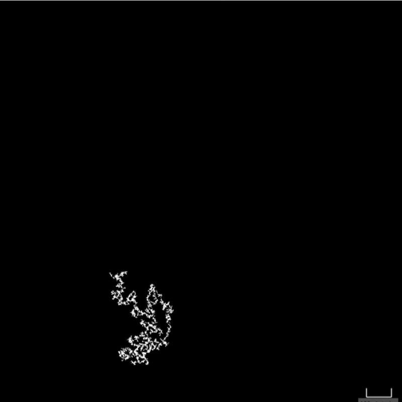 Particles moving through crowded environments don't just navigate obstacles — they displace them. A "pushy random walk" model shows how these particle-induced rearrangements can fundamentally alter diffusion and transport in dense media in 1D and 2D. 🔗