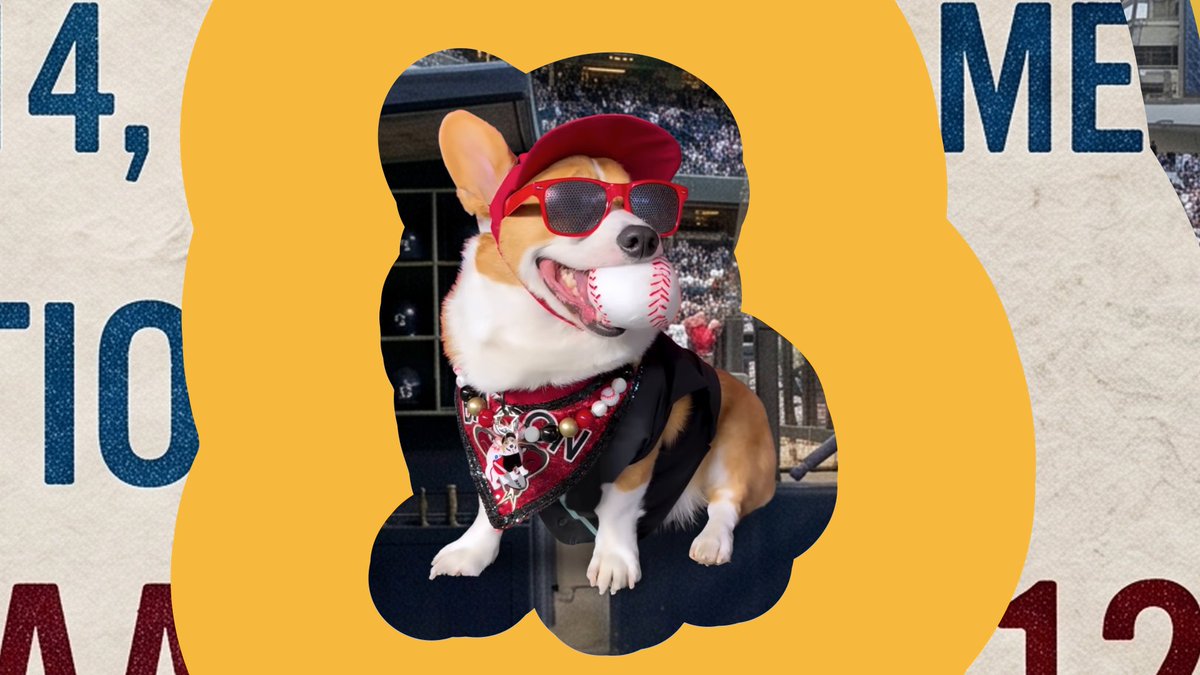 Do dogs in the stands mean more wins on the baseball field? 🐶⚾️ Gemini on Google Cloud ran the numbers and found connections that, we must say, are very cute.