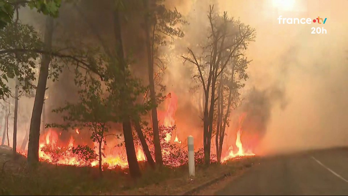 🔥 Déjà 1 000 hectares brûlés, le feu progresse à Fontainebleau. 800 pompiers se battent depuis hier pour tenter de maîtriser cette série d’incendies inédits, qualifiés d’exceptionnels. 5 % de la forêt a brûlé. Des habitations et un centre équestre ont été évacués. #JT20h