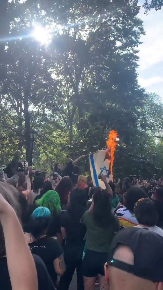 In NYC 🇺🇸, an Israeli flag was openly burned during a music show in Tompkins Square Park. The crowd looked on and cheered. The band played on. This is not liberation. This is not freeing Palestinians. This is an open celebration of eliminating the only Jewish state.