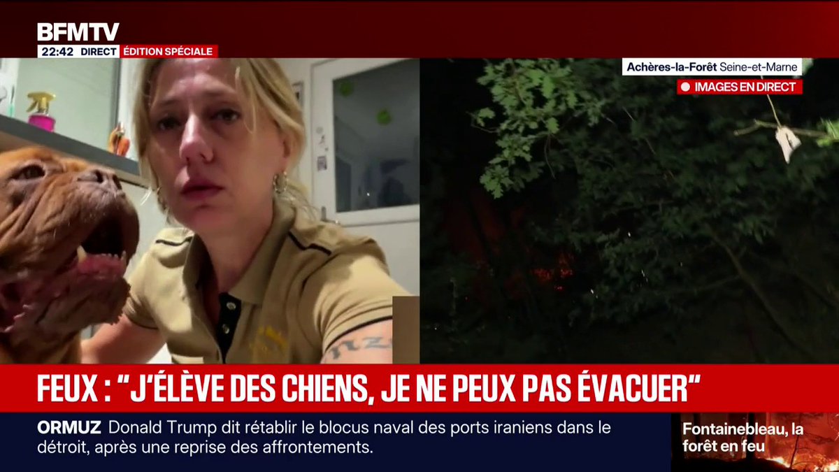 Incendie dans la forêt de Fontainebleau: "Évacuer avec neuf chiens c'est compliqué", témoigne Alexandra, éleveuse de chiens au Vaudoué