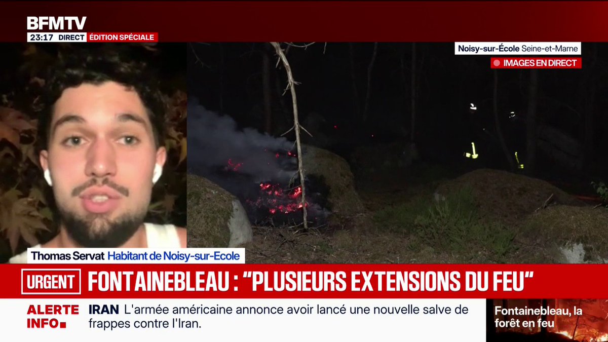 Fontainebleau: "Voir tous ces hectares de forêt partir en fumée, c'est absolument horrible", raconte Thomas Servat, habitant de Noisy-sur-École